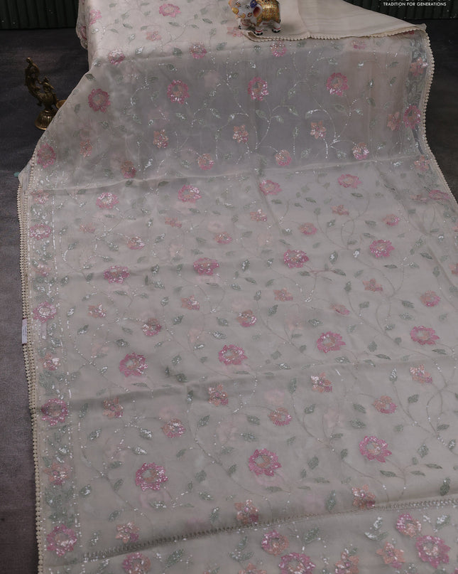Pure organza silk saree off white with allover embroidery sequin work and embroidery crocia lace work border