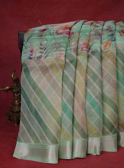Pastel Green Organza Silk Saree