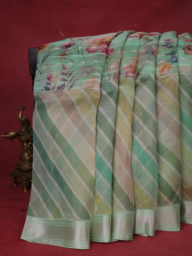 Pastel Green Organza Silk Saree