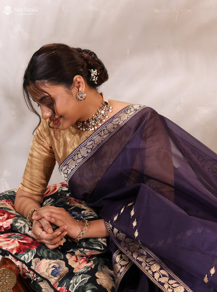 Jamun Banarasi Kora Silk Saree