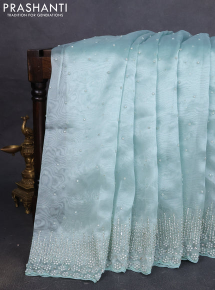 Organza silk saree pastel green with allover stone work