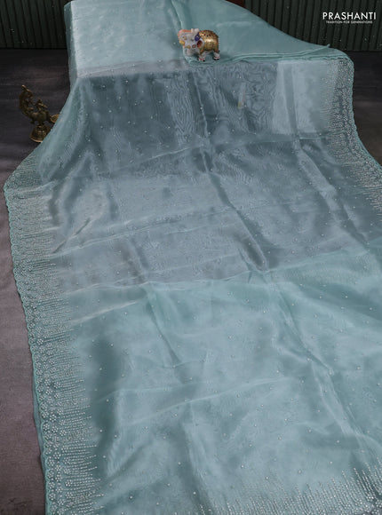 Organza silk saree pastel green with allover stone work