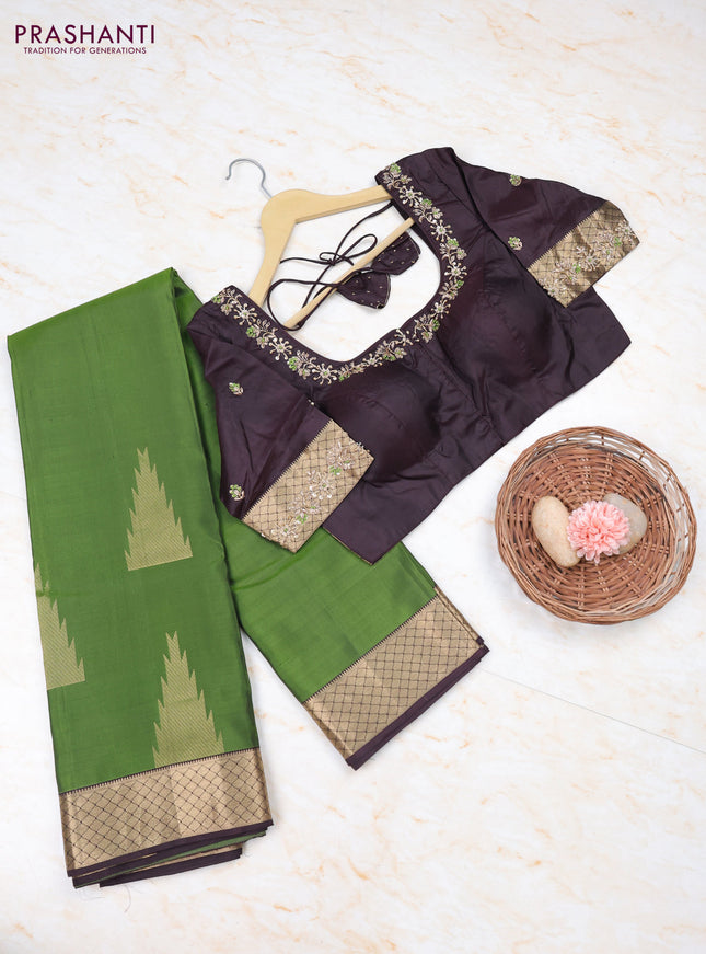 Sap Green - Coffee Brown Pure Kanchipuram Silk Saree Embroidered Readymade Blouse